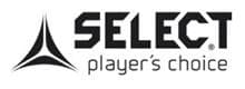 Sponsor logo #1